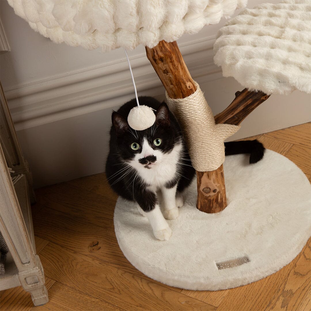 Atlas Cat Scratching Tree - Cream Cat Tree petslovescruffs 