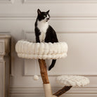 Atlas Cat Scratching Tree - Cream Cat Tree petslovescruffs 