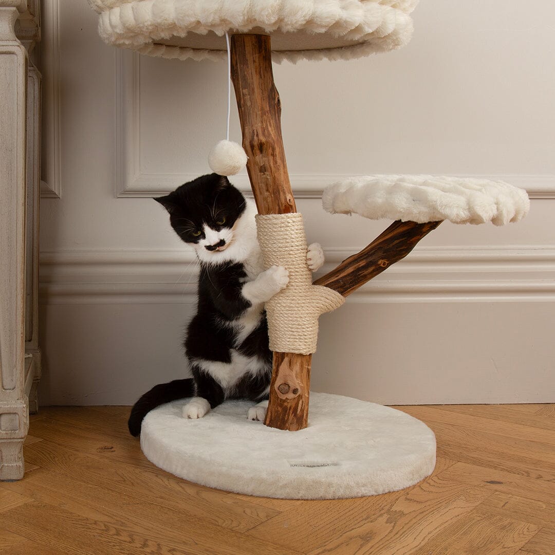 Atlas Cat Scratching Tree - Cream Cat Tree petslovescruffs 