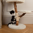Atlas Cat Scratching Tree - Cream Cat Tree petslovescruffs 