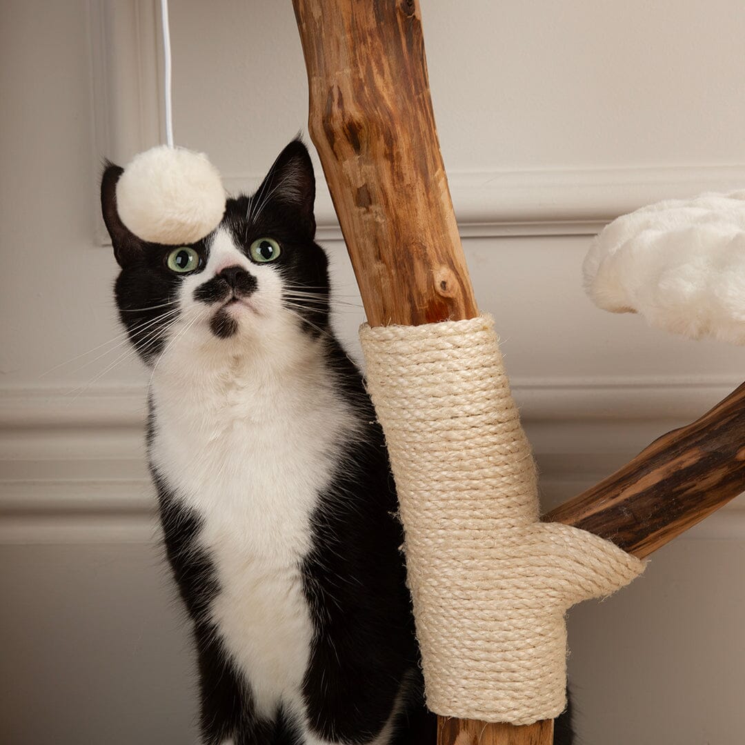 Atlas Cat Scratching Tree - Cream Cat Tree petslovescruffs 