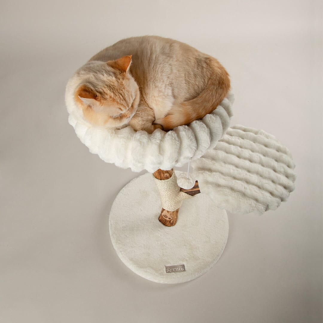 Atlas Cat Scratching Tree - Cream Cat Tree petslovescruffs 