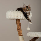 Atlas Cat Scratching Tree - Cream Cat Tree petslovescruffs 
