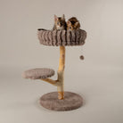 Atlas Cat Scratching Tree - Taupe Cat Tree Scruffs® 