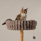 Atlas Cat Scratching Tree - Taupe Cat Tree Scruffs® 