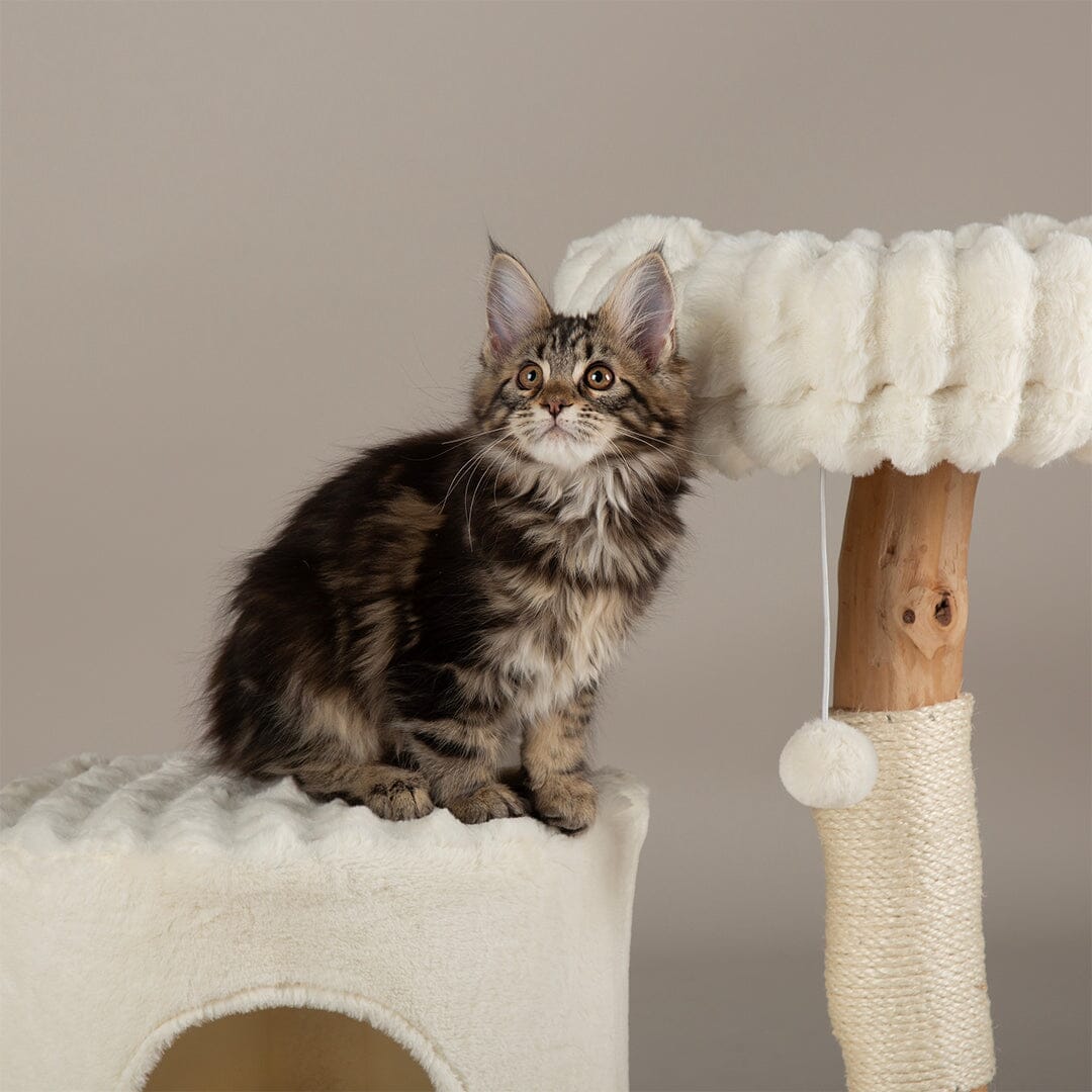 Himalayas Cat Scratching Tree - Cream Cat Tree Scruffs® 