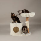 Himalayas Cat Scratching Tree - Cream Cat Tree Scruffs® 