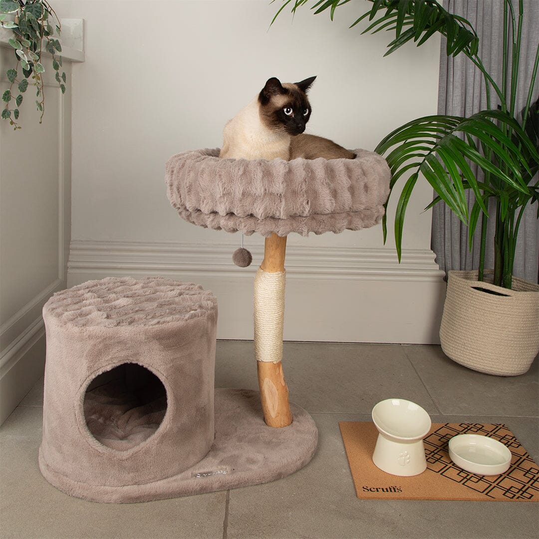Himalayas Cat Scratching Tree - Taupe Cat Tree Scruffs® 