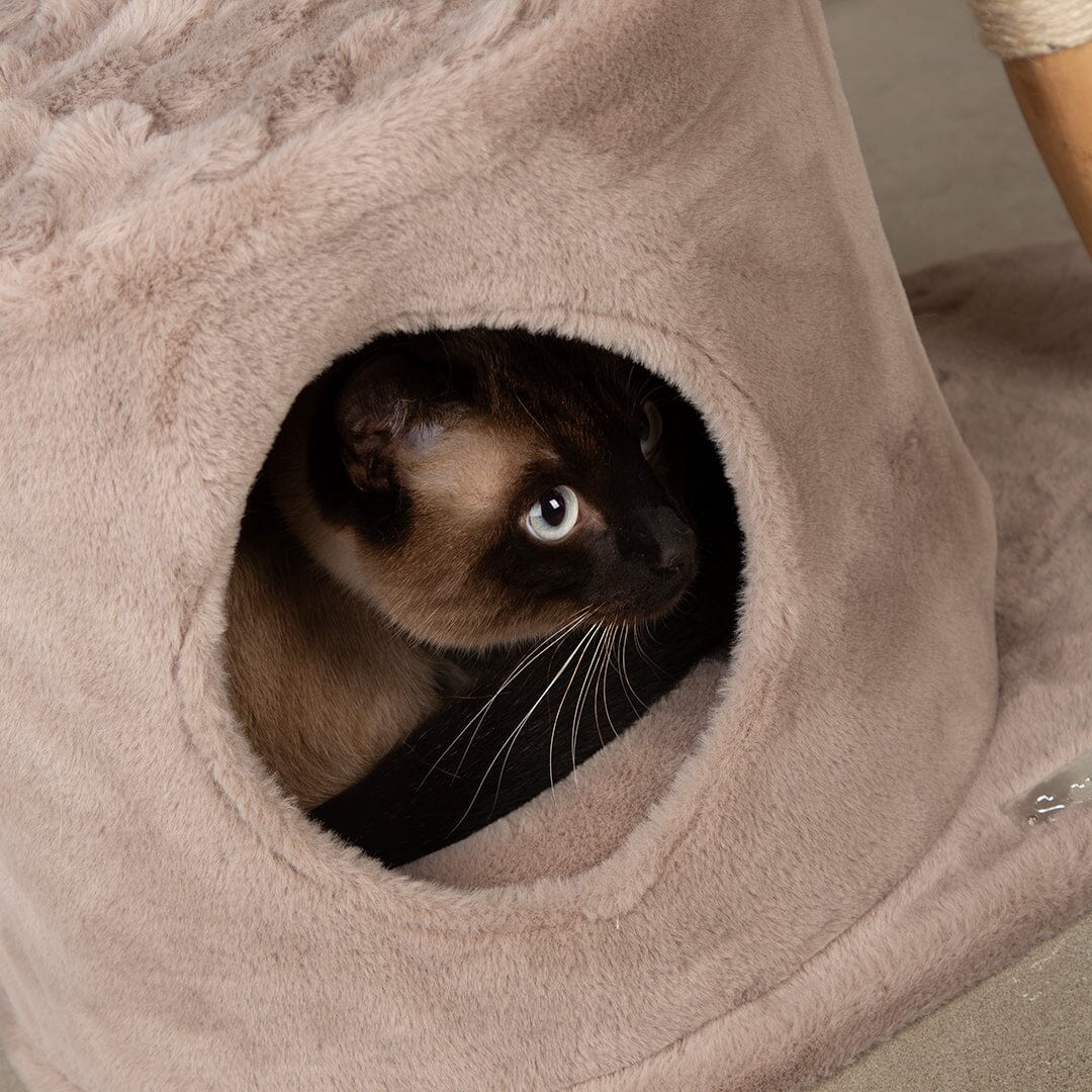 Himalayas Cat Scratching Tree - Taupe Cat Tree Scruffs® 