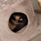 Himalayas Cat Scratching Tree - Taupe Cat Tree Scruffs® 