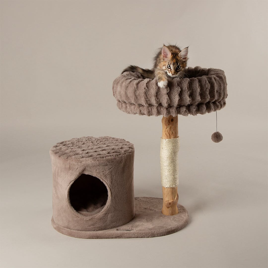 Himalayas Cat Scratching Tree - Taupe Cat Tree Scruffs® 