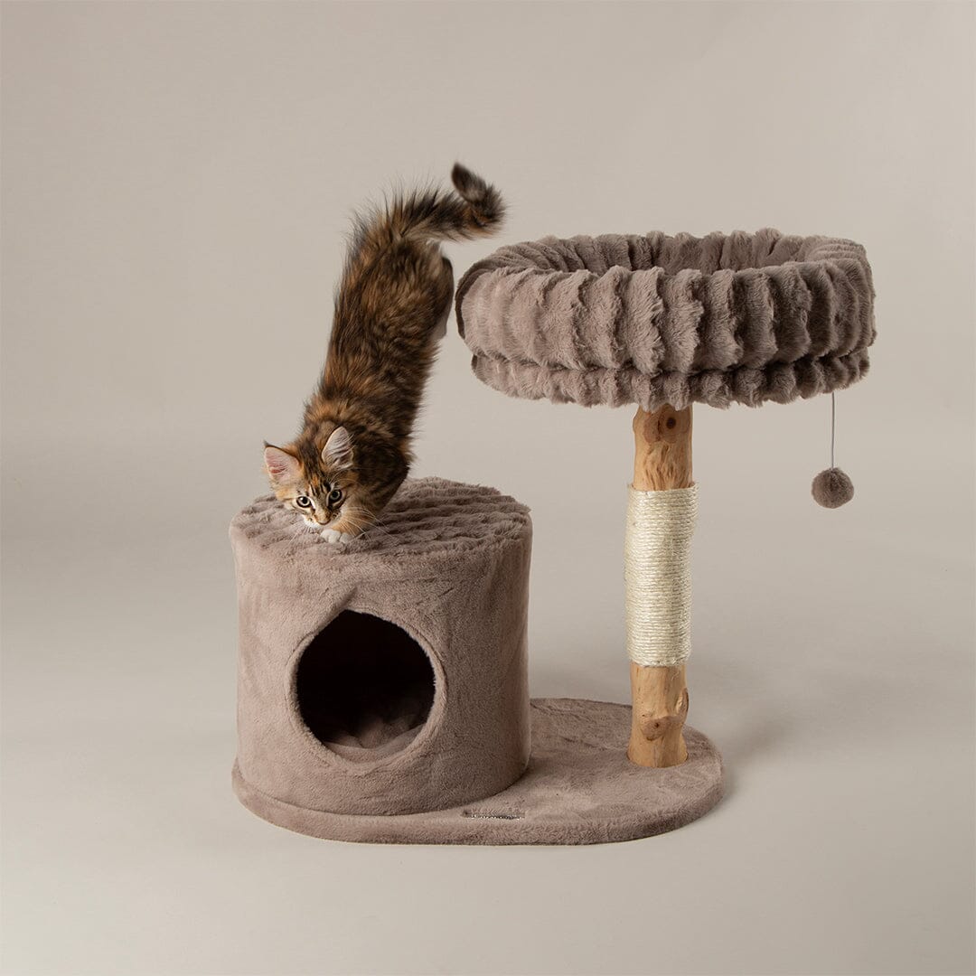 Himalayas Cat Scratching Tree - Taupe Cat Tree Scruffs® 