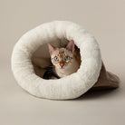 Seattle Crinkle Cat Sleeping Bag - Sienna Brown Cat Bed Scruffs® 