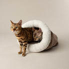 Seattle Crinkle Cat Sleeping Bag - Sienna Brown Cat Bed Scruffs® 