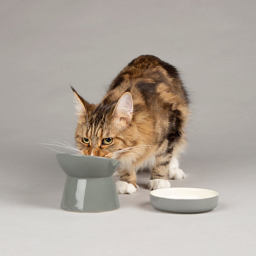 Classic Raised Cat Feeder Bowl & Saucer Set