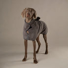 Expedition Deluxe Noodle & Microfibre Dog Drying Coat - Storm Grey Dog Coat Scruffs® 