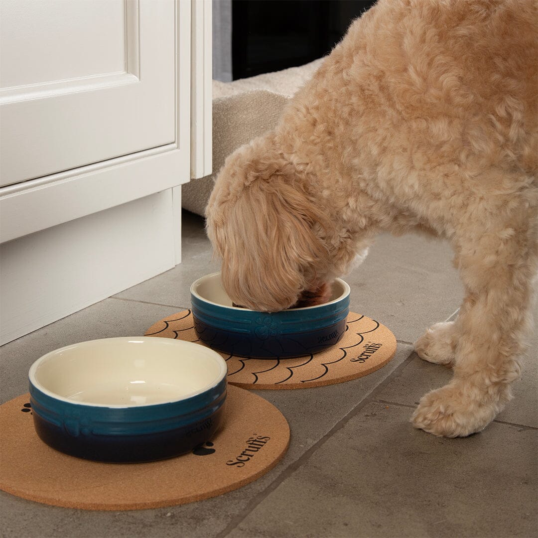 Ombre 2 Piece Dog Bowl Food & Water Bowl Set - Blue Pet Bowls, Feeders & Waterers Scruffs® 