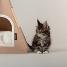 Stockholm Felt TeePee Cat Bed - Tan Cat Bed Scruffs® 