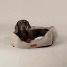 Harmony Box Bed - Tan Dog Beds Scruffs® 