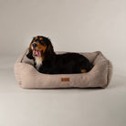 Harmony Box Bed - Tan Dog Beds Scruffs® 