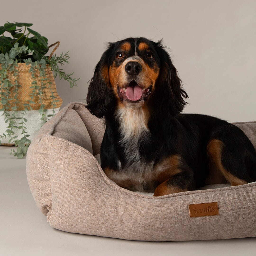 Harmony Box Bed - Tan Dog Beds Scruffs® 