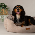 Harmony Box Bed - Tan Dog Beds Scruffs® 