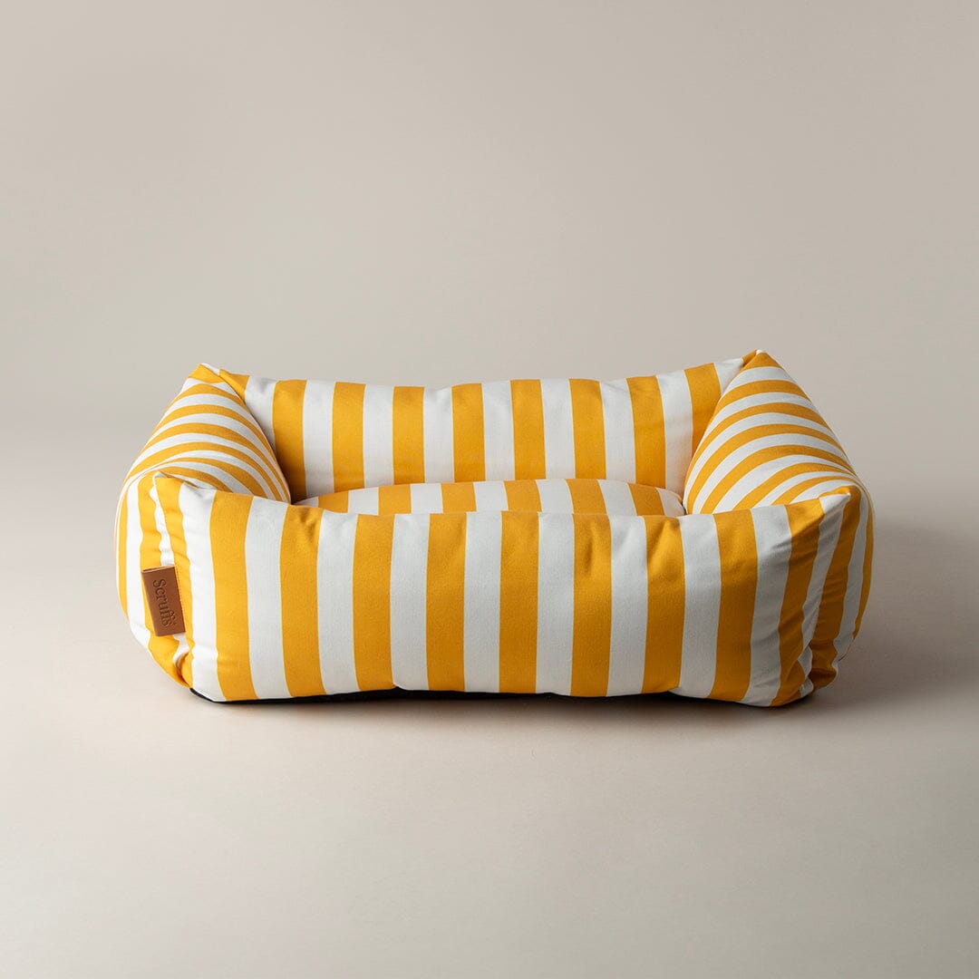 Amalfi Striped Box Bed - Yellow Dog Beds Scruffs® 