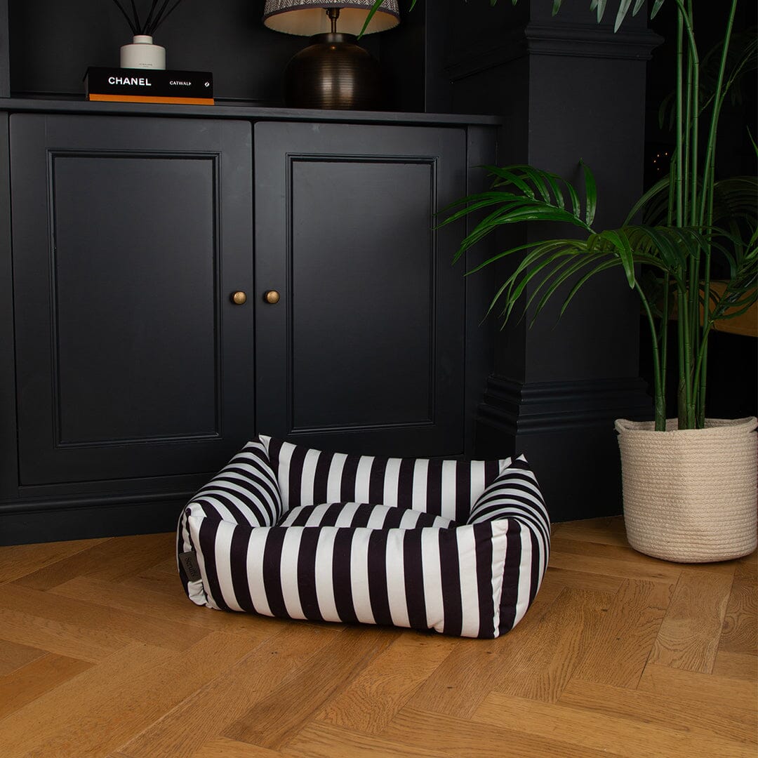 Amalfi Striped Box Bed - Black Dog Beds Scruffs® 