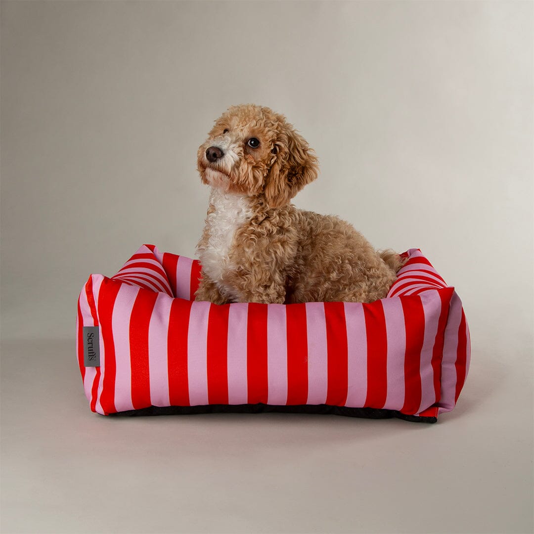 Amalfi Striped Box Bed - Pink Dog Beds Scruffs® 