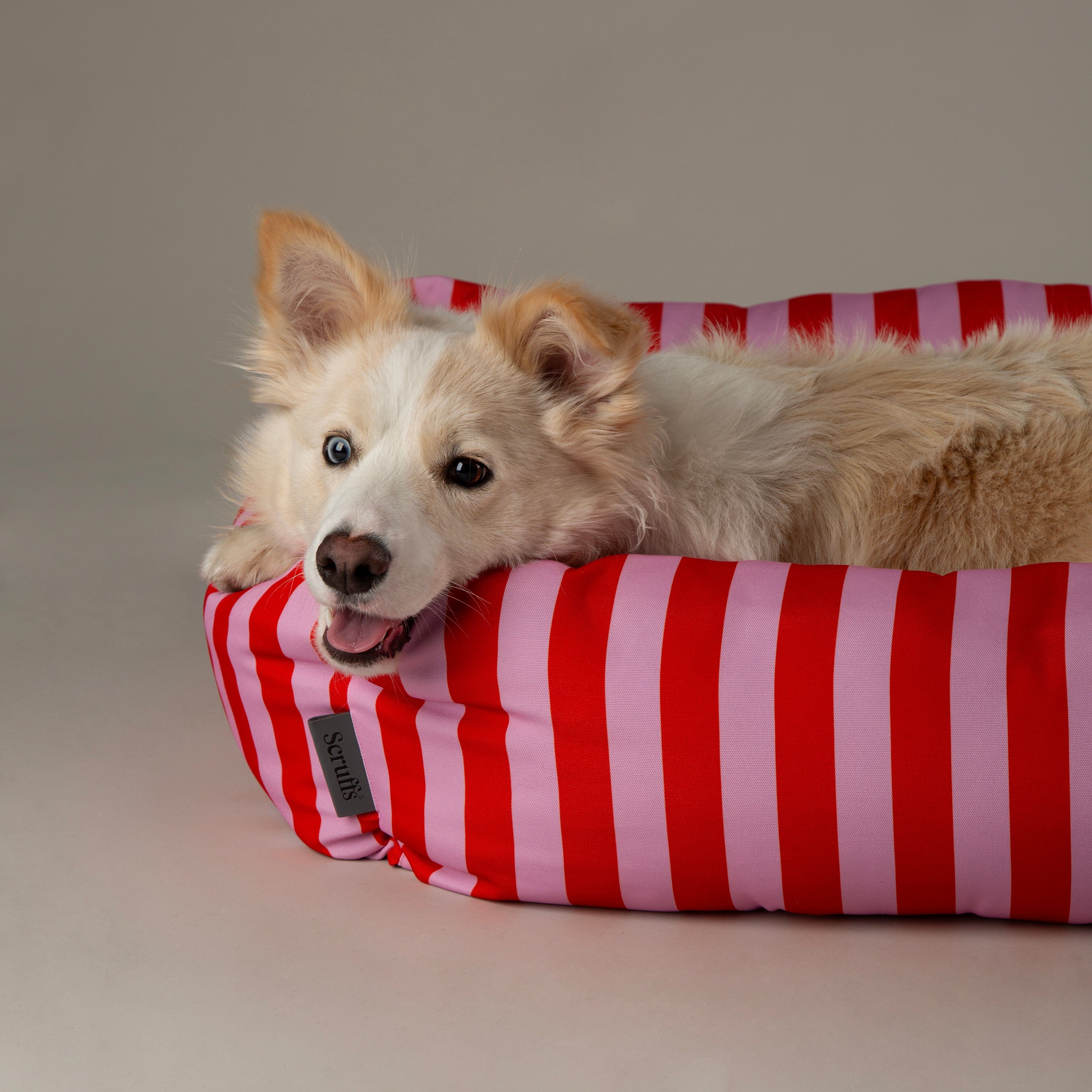 Amalfi Striped Box Bed - Pink Dog Beds Scruffs® 