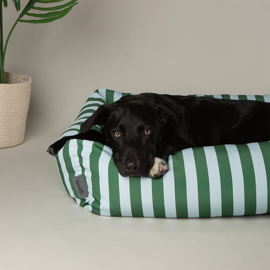 Amalfi Striped Box Bed - Green Dog Beds Scruffs® 