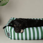Amalfi Striped Box Bed - Green Dog Beds Scruffs® 
