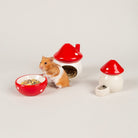 Small Animal Ceramic Set - Toadstool Pet Bowls, Feeders & Waterers Scruffs® 