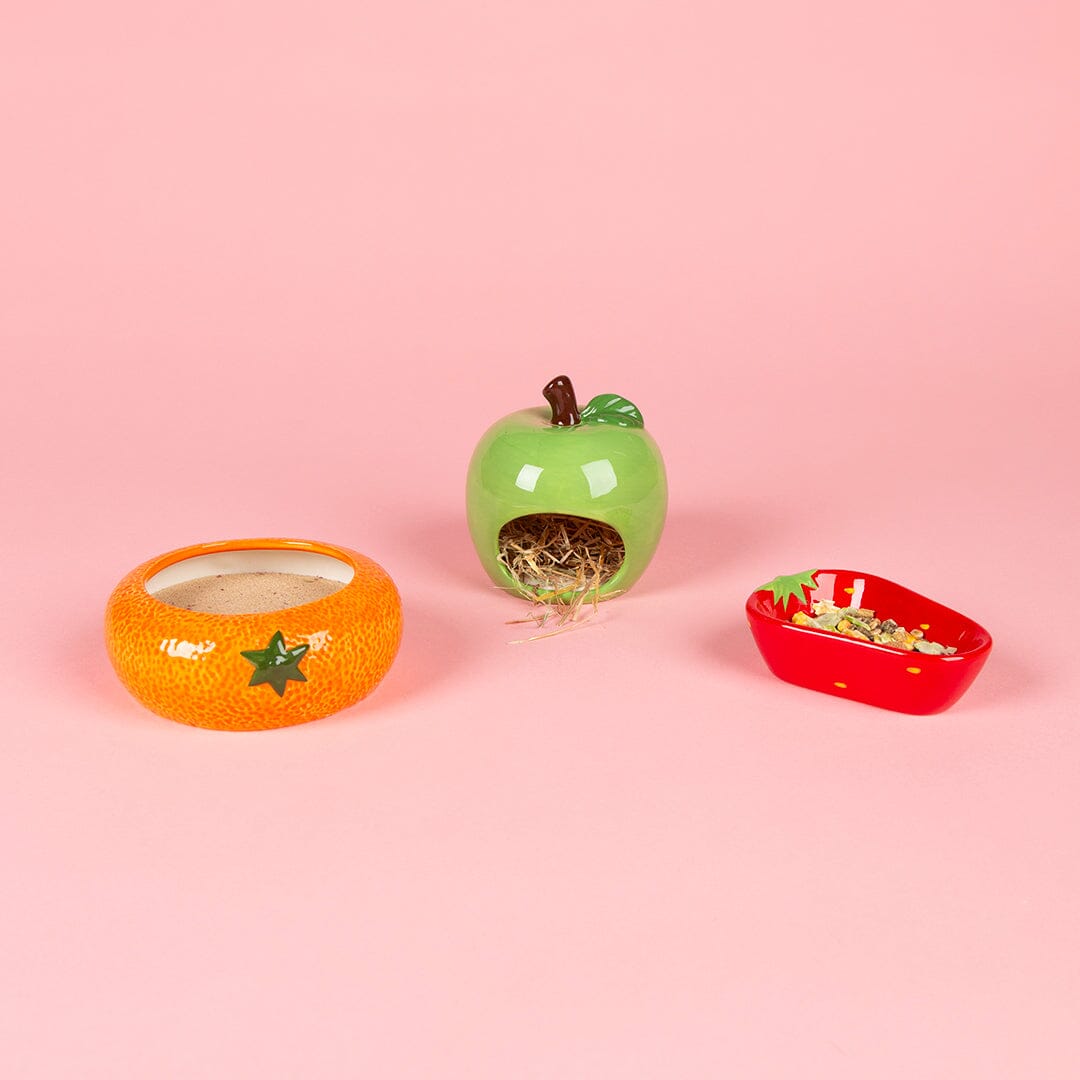 Small Animal Ceramic Set - Fruit Pet Bowls, Feeders & Waterers Scruffs® 
