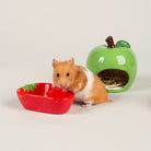 Small Animal Ceramic Set - Fruit Pet Bowls, Feeders & Waterers Scruffs® 