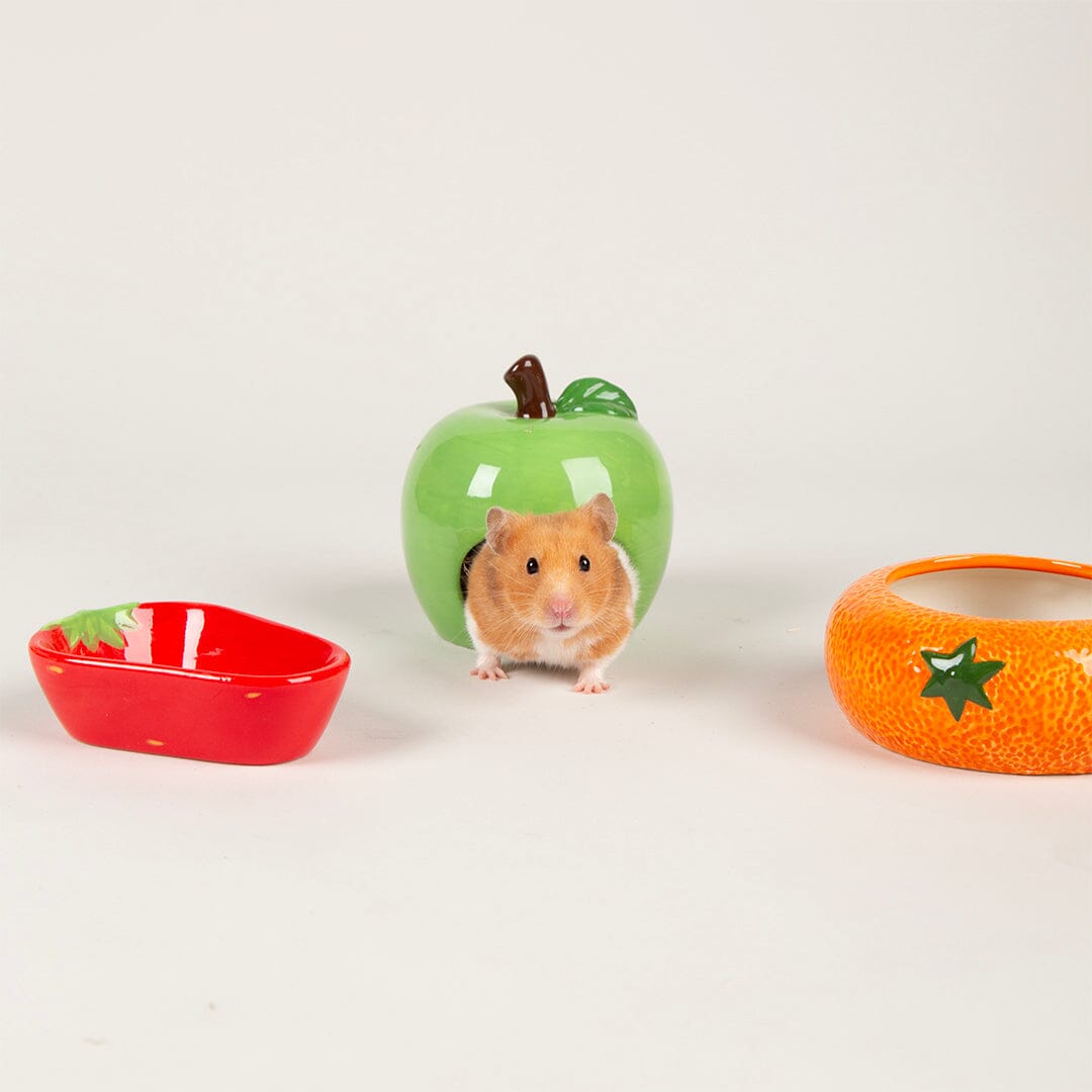 Small Animal Ceramic Set - Fruit Pet Bowls, Feeders & Waterers Scruffs® 