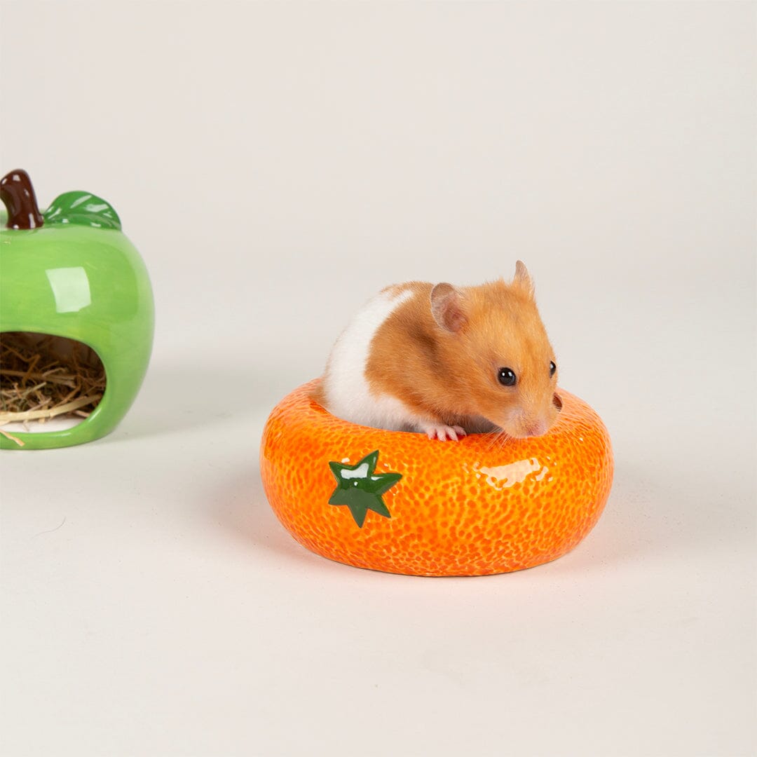Small Animal Ceramic Set - Fruit Pet Bowls, Feeders & Waterers Scruffs® 