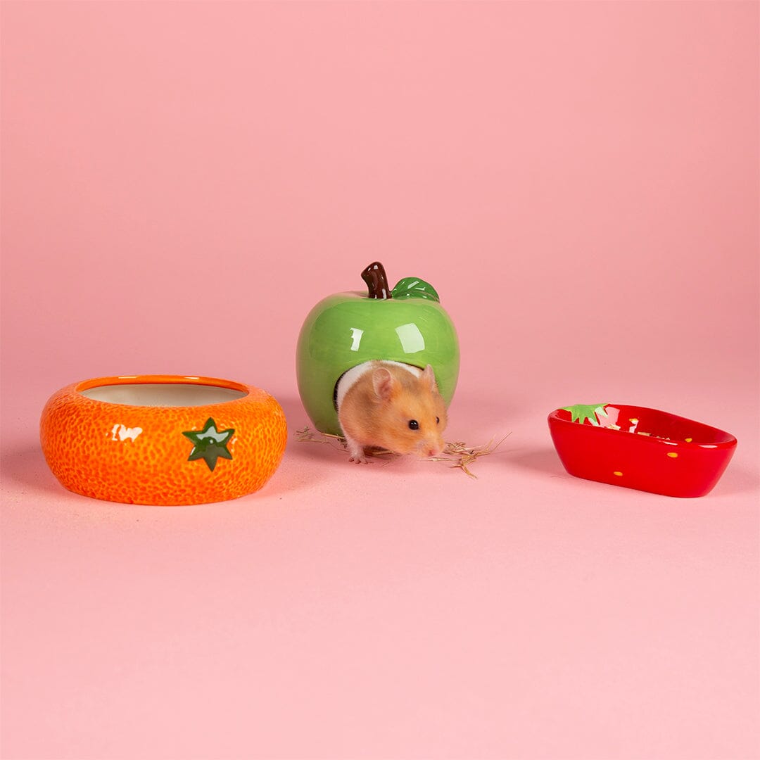 Small Animal Ceramic Set - Fruit Pet Bowls, Feeders & Waterers Scruffs® 