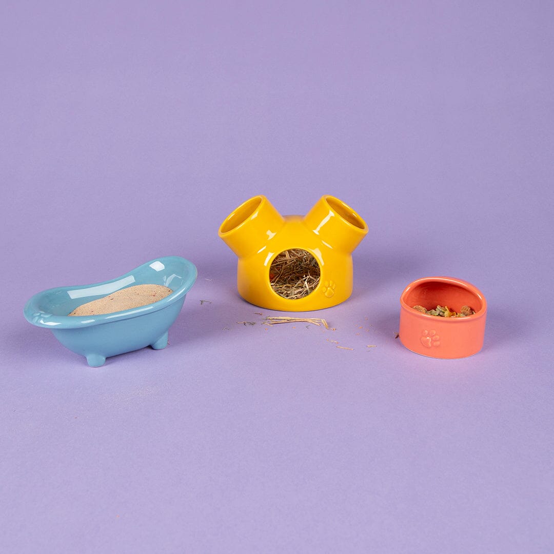Small Animal Ceramic Set - Colours Pet Bowls, Feeders & Waterers Scruffs® 