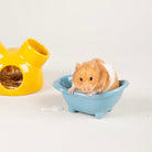 Small Animal Ceramic Set - Colours Pet Bowls, Feeders & Waterers Scruffs® 
