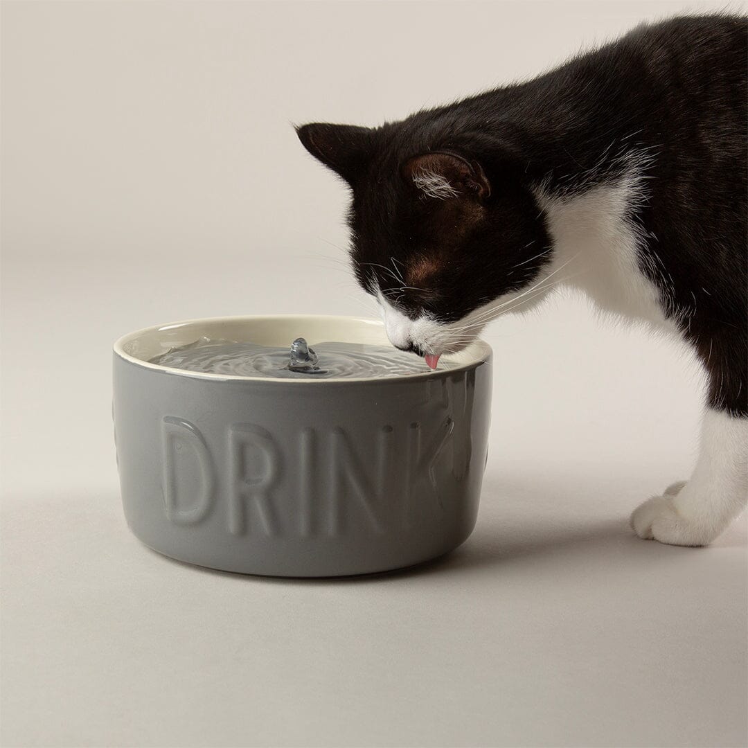 Classic Cat Water Fountain 20cm - Grey Pet Bowls, Feeders & Waterers Scruffs® 