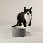 Classic Cat Water Fountain 20cm - Grey Pet Bowls, Feeders & Waterers Scruffs® 