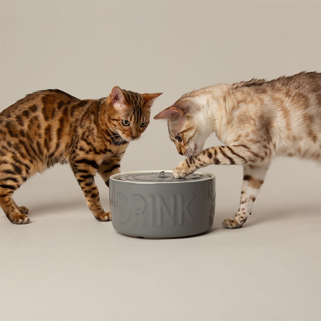 Classic Cat Water Fountain 20cm - Grey Pet Bowls, Feeders & Waterers Scruffs® 