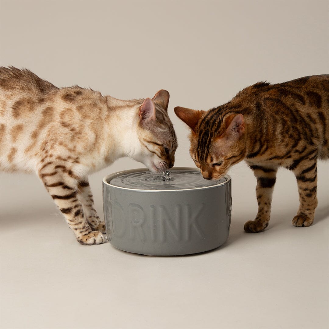 Classic Cat Water Fountain 20cm - Grey Pet Bowls, Feeders & Waterers Scruffs® 