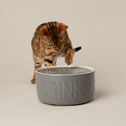 Classic Cat Water Fountain 20cm - Grey Pet Bowls, Feeders & Waterers Scruffs® 