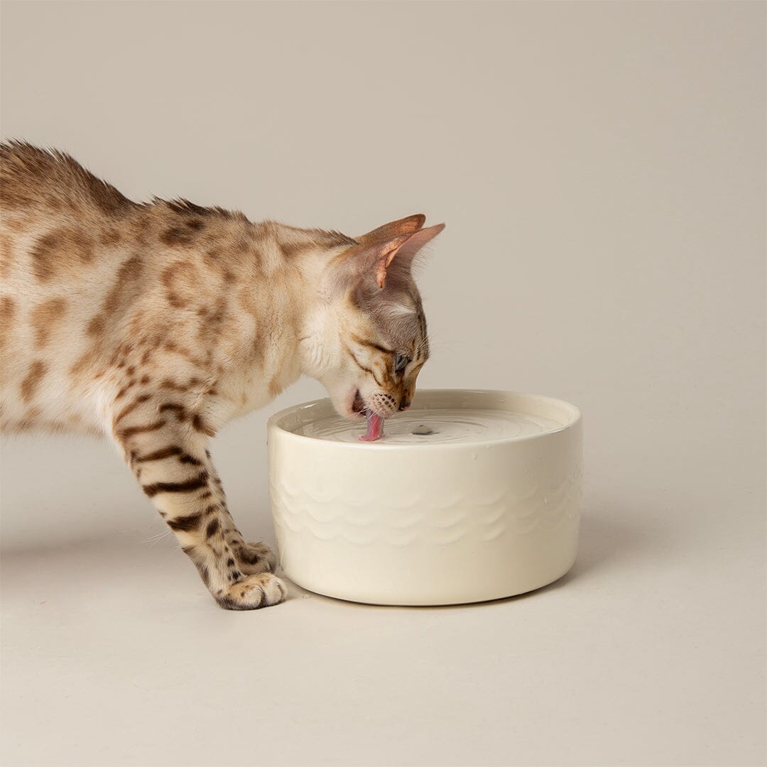 Icon Cat Water Fountain 20cm