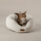 Starlight 'My First' Round Kitten & Puppy Bed - Cream Dog Bed Scruffs® 
