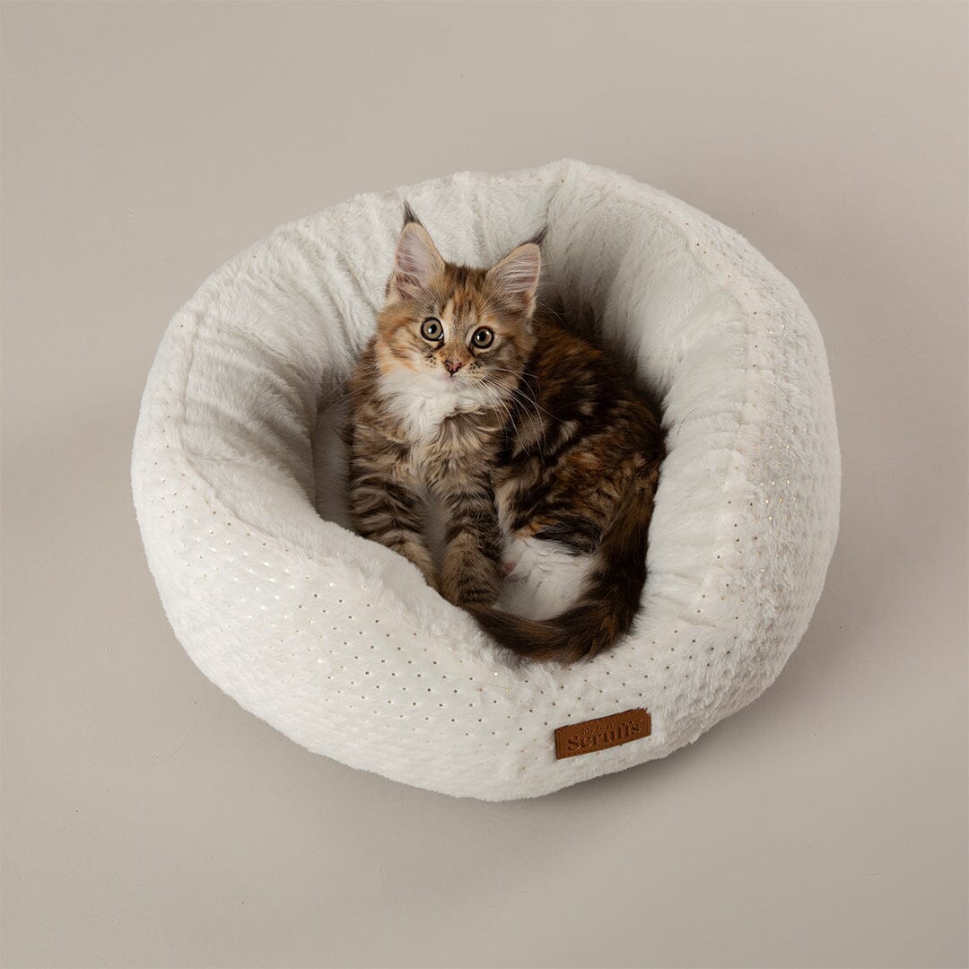 Starlight 'My First' Round Kitten & Puppy Bed - Cream Dog Bed Scruffs® 