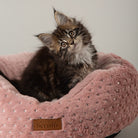Starlight 'My First' Round Kitten & Puppy Bed - Pink Dog Bed Scruffs® 