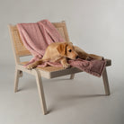 Starlight 'My First' Kitten & Puppy Blanket - Pink Dog Blanket Scruffs® 